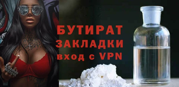 индика Алексин