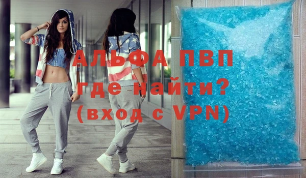 индика Алексин