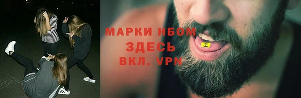 индика Алексин