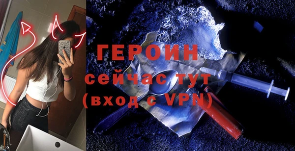 индика Алексин