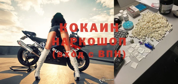 индика Алексин