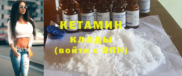 индика Алексин