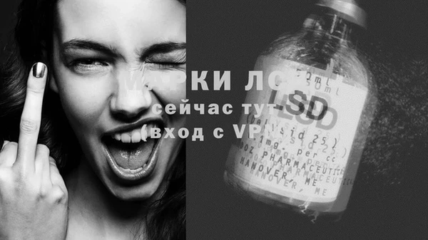 apvp Алзамай