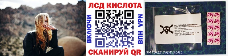 Марки 25I-NBOMe 1,8мг  даркнет сайт  Невьянск 